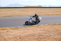 anglesey-no-limits-trackday;anglesey-photographs;anglesey-trackday-photographs;enduro-digital-images;event-digital-images;eventdigitalimages;no-limits-trackdays;peter-wileman-photography;racing-digital-images;trac-mon;trackday-digital-images;trackday-photos;ty-croes